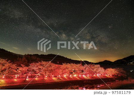 桜ライトアップと天の川　合成写真 97581179