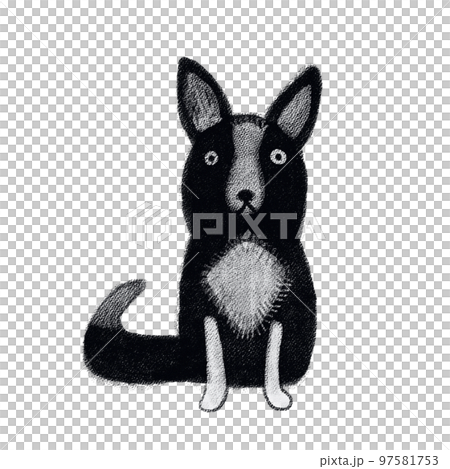 dog animal pet dog animal pet 97581753