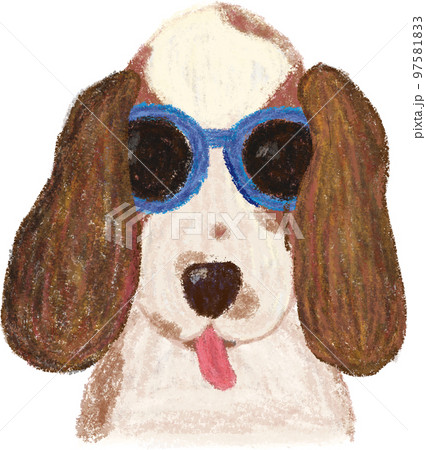 犬 狗 わんこ 97581833