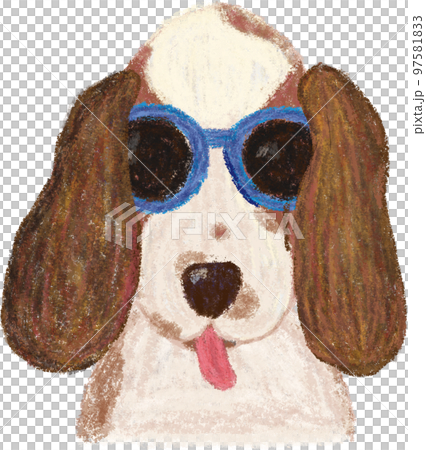 犬 狗 わんこ 97581833