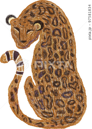 動物 動物学 猫 97581834