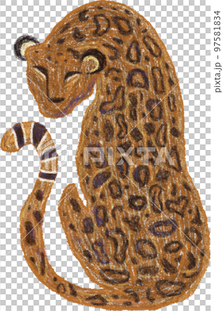 動物 動物学 猫 97581834