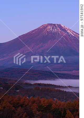 朝焼けに染まる富士山と山中湖にかかる雲海 97581942