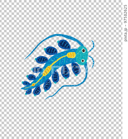 海洋生物 海洋生物 97582625