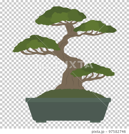 盆栽のイラスト 盆栽のイラスト 97582746
