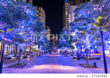 《神奈川県》横浜みなとみらい・グランモール公園のイルミネーション 97582889