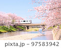 筑肥線　瑞梅寺川の桜と305系 97583942