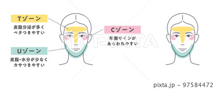 女性のTゾーンUゾーンCゾーンのイラスト図解-2B 97584472