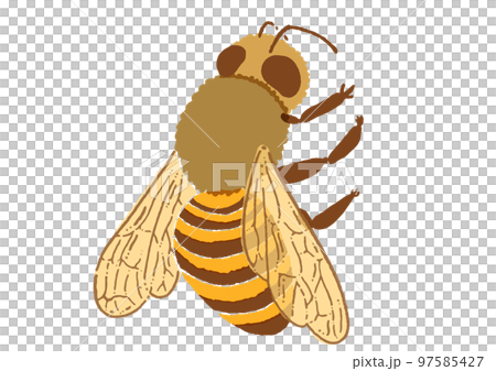 Watercolor touch honey bee illustration material Watercolor touch honey bee illustration material 97585427