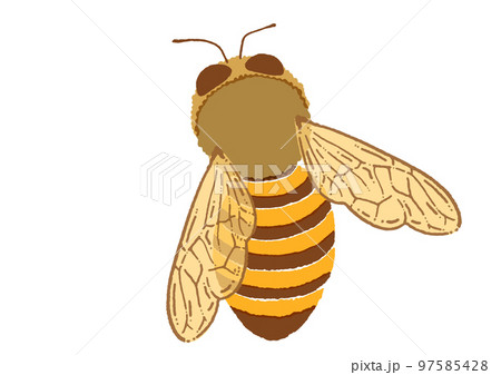 水彩タッチのミツバチのイラスト素材 97585428