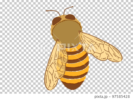 水彩タッチのミツバチのイラスト素材 97585428
