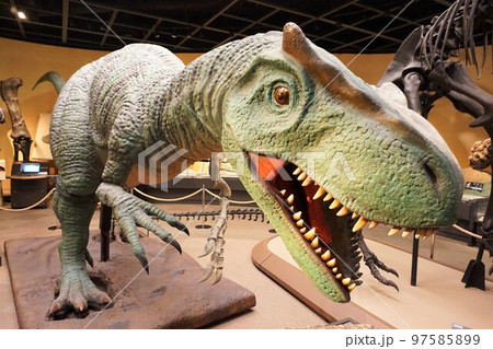 栃木県立博物館 アロサウルス Allosaurus 栃木県立博物館 アロサウルス Allosaurus 97585899