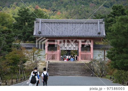 広大な京都御室の仁和寺 97586003