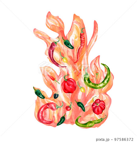 Flame and various hot peppers watercolor illustration isolated on white. 97586372