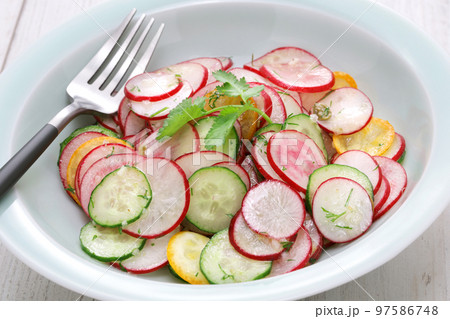 ラディッシュサラダ ラディッシュサラダ 97586748