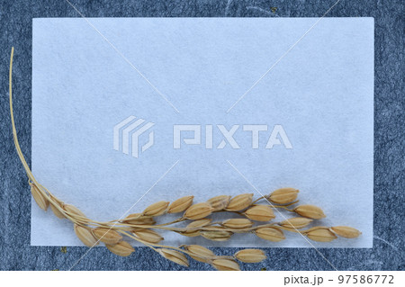 和紙と稲穂のフレーム背景素材 97586772