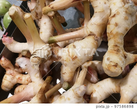 Chinese ginger or galingale rhizome at the market.  97586898