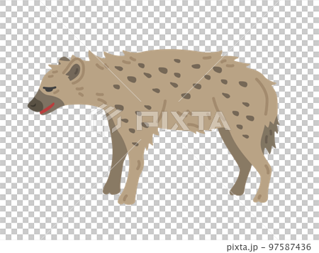 從側面看到的鬣狗的插圖 從側面看到的鬣狗的插圖 97587436