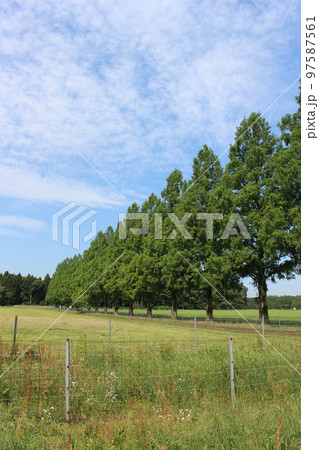 御料牧場 御料牧場 97587561