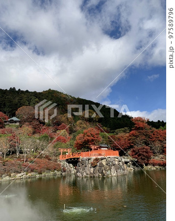 達磨 達磨 97589796