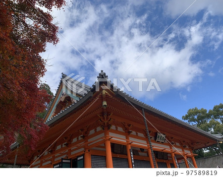 ダルマ寺 97589819