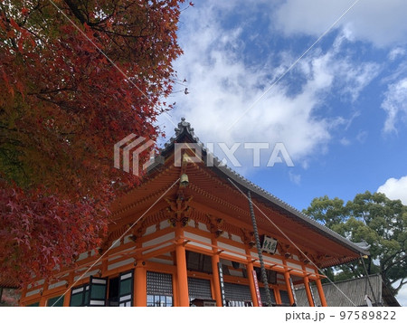 だるま 寺 だるま 寺 97589822