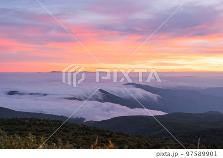 蔵王から見た山形方面の雲海 夕焼けでピンクに染まる 蔵王から見た山形方面の雲海 夕焼けでピンクに染まる 97589901