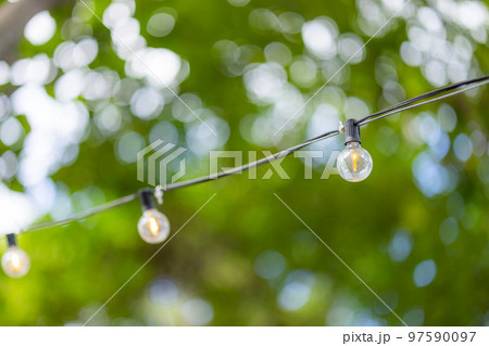 Transparent electric bulb chain in the garden Transparent electric bulb chain in the garden 97590097