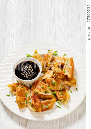 gyoza, wonton wrappers stuffed with pork, cabbage 97590239