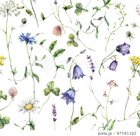 Watercolor meadow flowers seamless pattern of chamomile, cornflower, campanula and lavender. Hand painted floral illustration isolated on white background. For design, print, fabric or background. 97591102