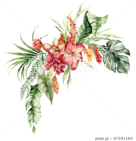 Watercolor tropical flowers bouquet of hibiscus, orchid, monstera and etlingera. Hand painted floral poster isolated on white background. Holiday Illustration for design, print, fabric or background. 97591160