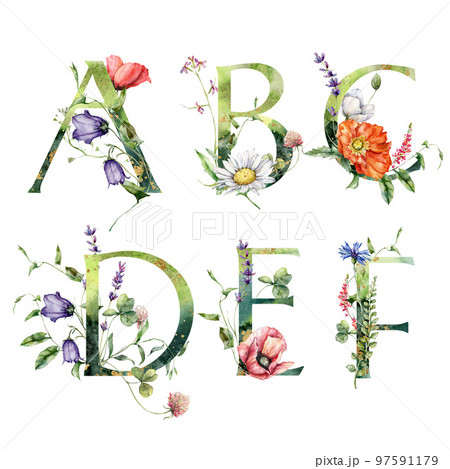 Watercolor frolal alphabet set of A, B, C, D, E, F with wild flowers. Hand painted floral symbols isolated on white background. Holiday Illustration for design, print, fabric or background. 97591179