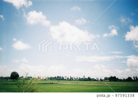 Paddy field Paddy field 97591338