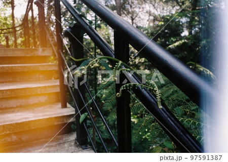 Botanical Garden 97591387