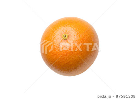 Grapefruit citrus fruit isolated on white background top view 97591509