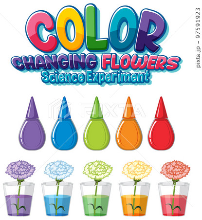 Color changing flowers science experiment 97591923