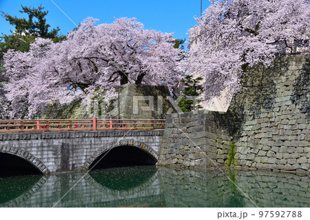 桜景 福井城址 御本城橋 桜景 福井城址 御本城橋 97592788