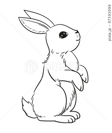 Various cute bunnies, spring, easter bunny in sketch style. Rabbit sits, sleeps and jumps vector illustration isolated on white. Doodle style, hand drawing, graphic. 97593099