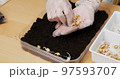 Planting vegetable at home for mini garden 97593707