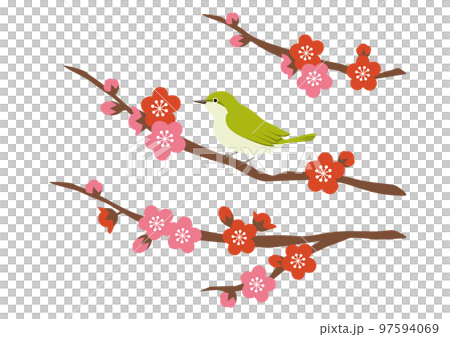 梅の木にとまるメジロのイラスト 97594069