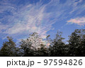 幸運の前触れの彩雲 97594826