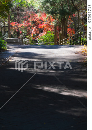 秋の鎌倉浄智寺付近の静かな小路 97595718