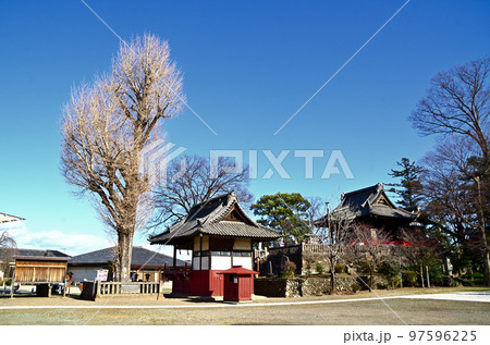 群馬県藤岡市のパワースポット 諏訪神社の御神木 群馬県藤岡市のパワースポット 諏訪神社の御神木 97596225