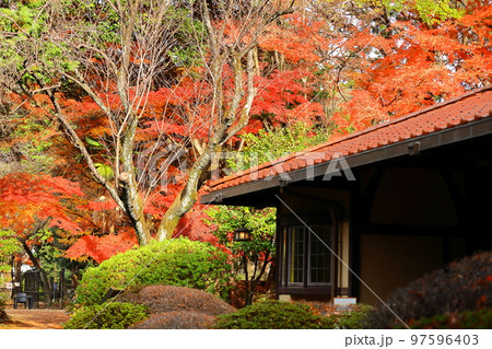 燃える秋 97596403