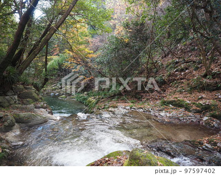 岩場の川の水面 岩場の川の水面 97597402