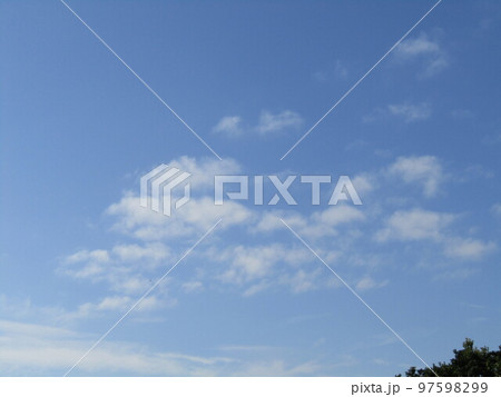 谷津干潟の青空と白い雲 谷津干潟の青空と白い雲 97598299