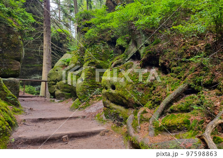 Beautiful rocks in the forest are covered with green moss. Hiking trail. 97598863