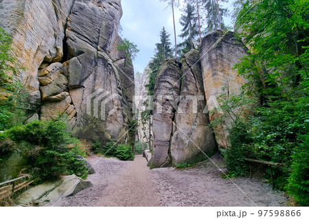 Hiking trail in the mountains. Hiking. Hiking in the mountains and forest. 97598866