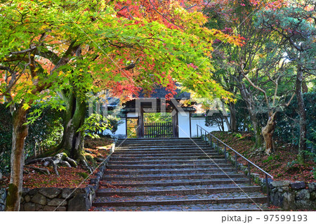 早朝の京都市左京区 安楽寺の参道と山門 97599193