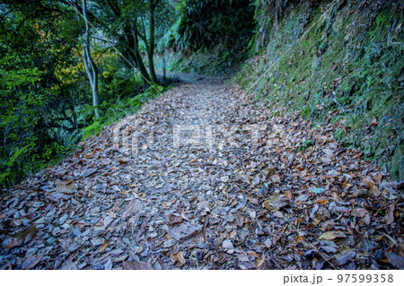 山道の落ち葉 97599358
